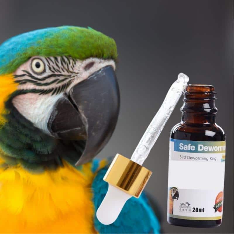 PlantGenic Bird Madotusaine - Image 2