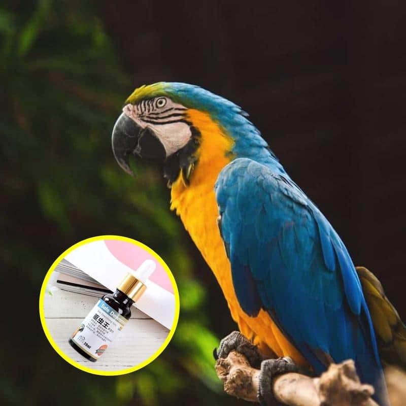 PlantGenic Bird Madotusaine - Image 3