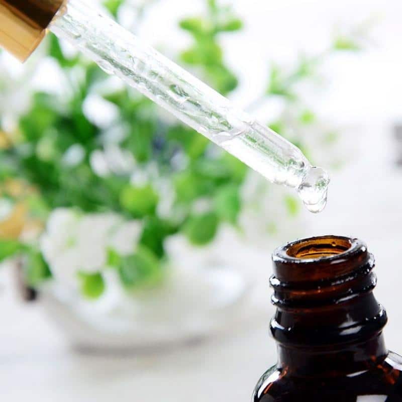 PlantGenic Bird Madotusaine - Image 4