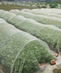 Este tuholaistorjunta