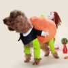 Poochy Pumpkin Halloween -asu