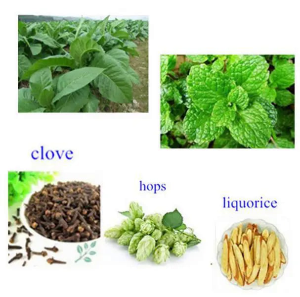 Seurico™ savun vastainen laastari - Image 3